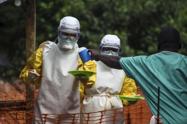 В Японии изобрели препарат, способный выявить вирус Эбола за 15 минут