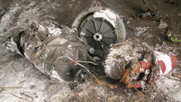 Около двух тонн мелких обломков вывезено с места крушения MH17