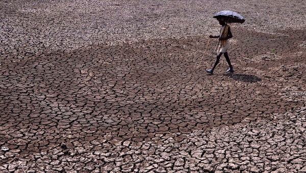 Число жертв аномальной жары в Индии приближается к 1,4 тысячи