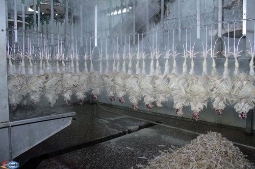 Запрещен ввоз в Армению птичьего мяса из некоторых штатов США