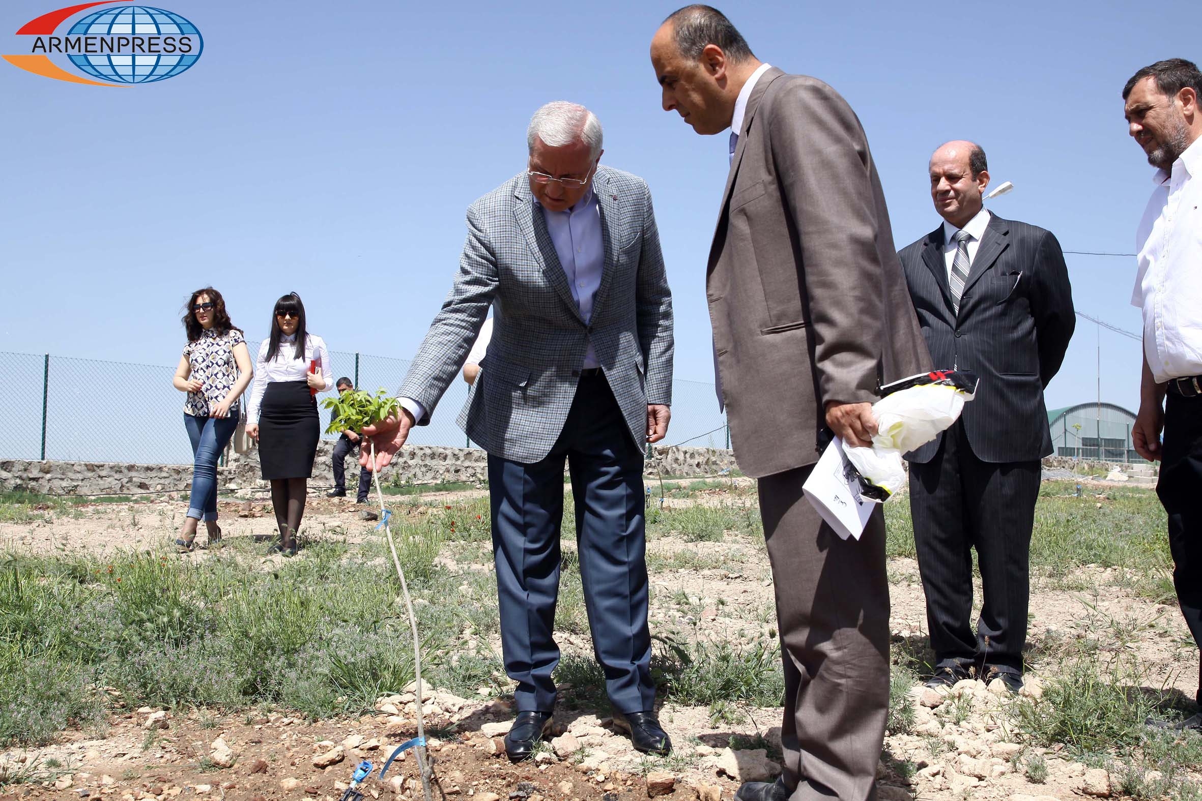 Ливанская компания  разбивает в Армении обширные ореховые сады