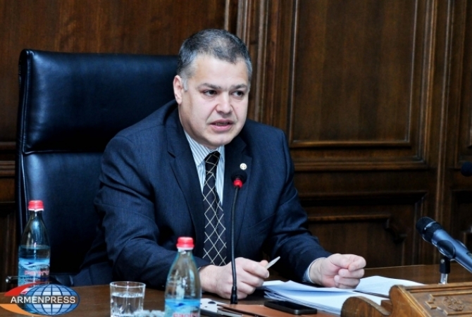 Audit in ENA will take 3-6 months: Davit Harutyunyan