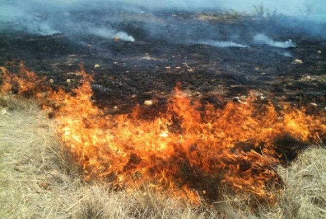 Երևանում և մարզերում այրվել են խոտածածկ տարածքներ
