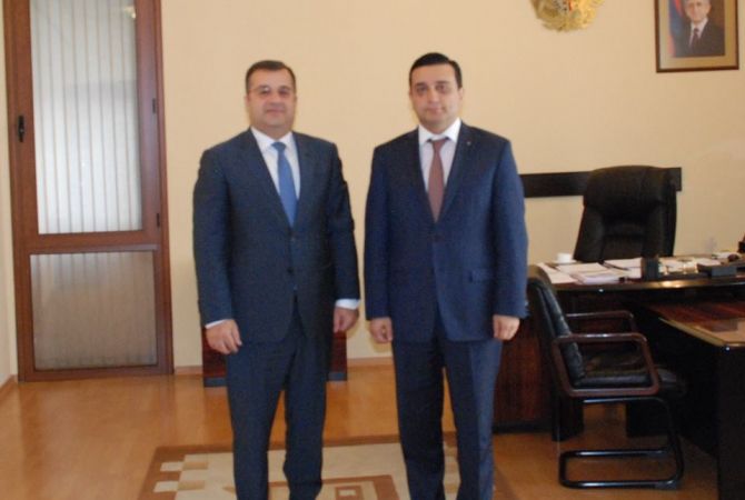 Health Minister of Republic of Armenia receives Armenia's Ambassador to Sweden  
