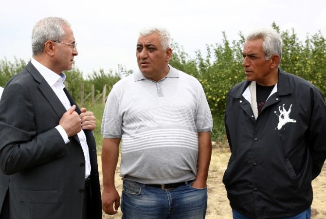 Minister of Agriculture foresees abundant apple harvest in Kotayk Province
