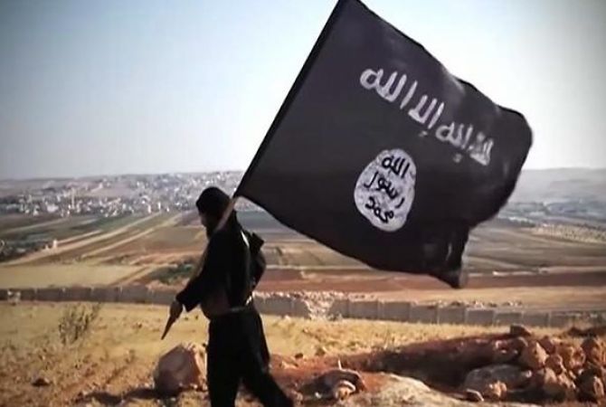 IS seizes 5 villages in northern Syria