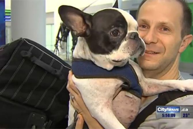  Самолет Air Canada прервал рейс ради собаки 