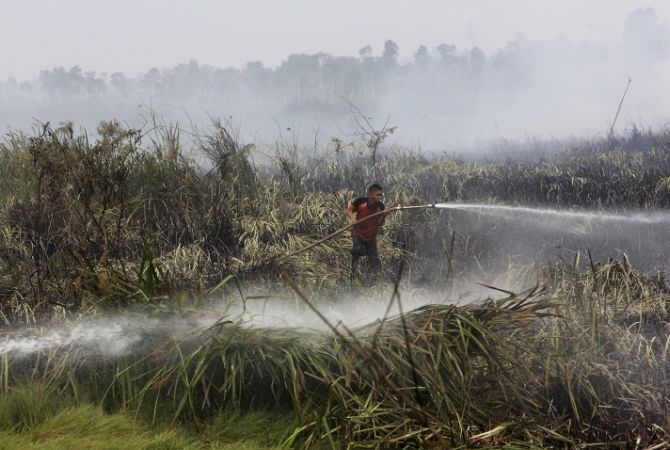 Ինդոնեզիան միջազգային հանրակցությանը խնդրում է օգնել անտառային հրդեհների դեմ պայքարում