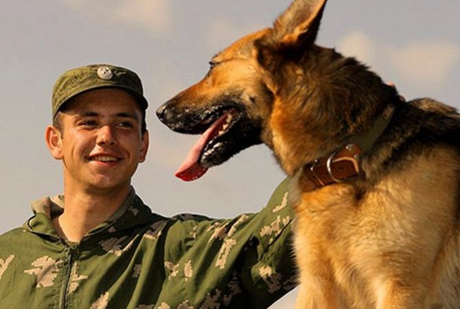 На российскую военную базу в Армении
по воздуху доставят караульных собак
