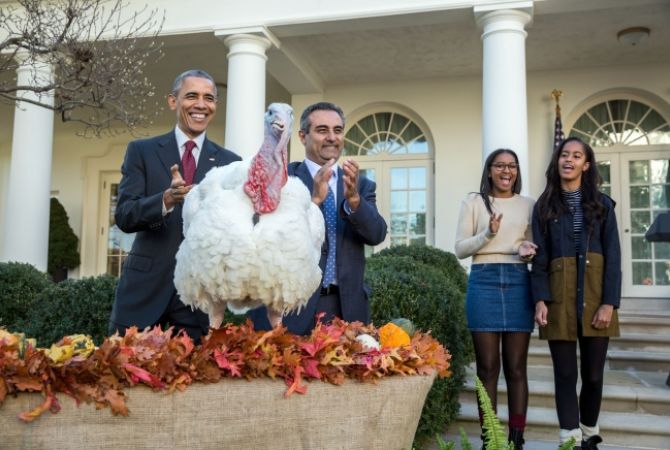 Օբաման Գոհաբանության օրվա առթիվ ներում Է շնորհել երկու հնդկահավերի 