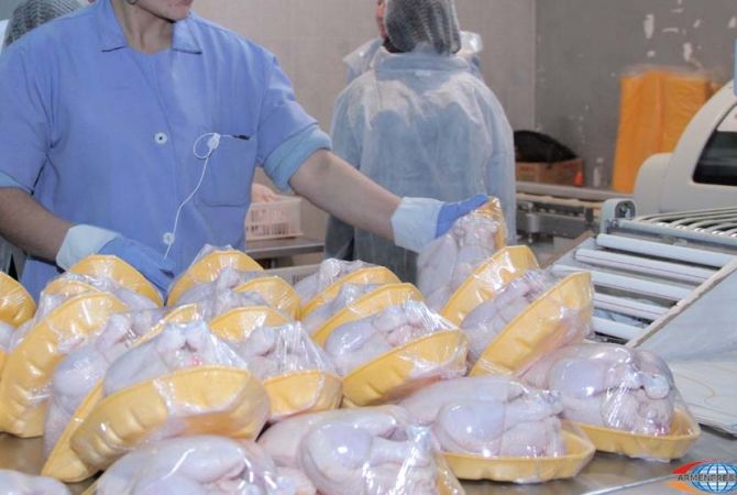 Import of 20 tons of frozen chicken meat from Ukraine to Armenia banned
