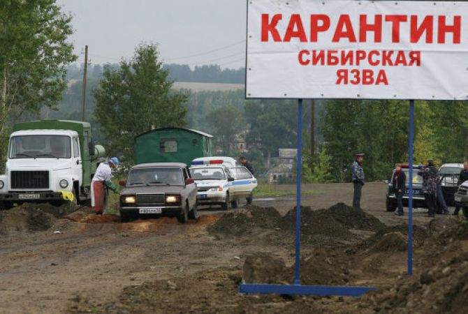 В области Казахстана, где была вспышка сибирской язвы, уволены чиновники