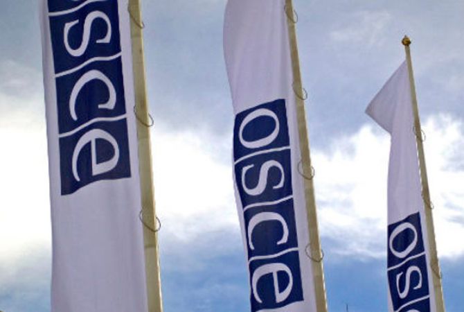 Public order should be restored in compliance with the rule of law: OSCE