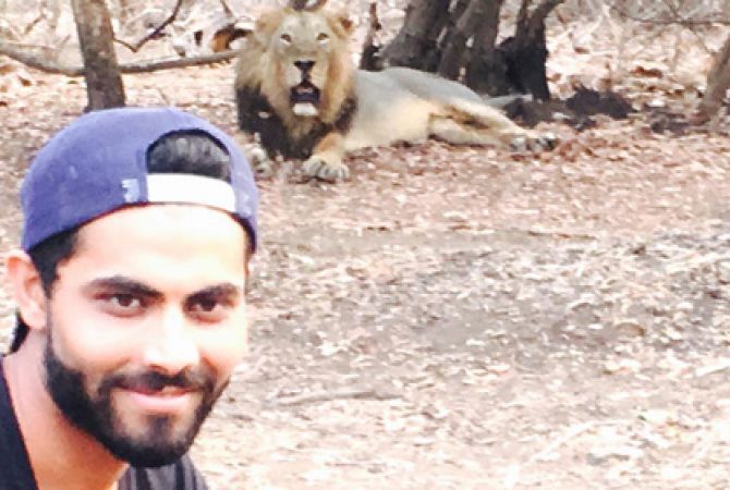 Ravindra Jadeja: Indian cricketer fined over lion selfies