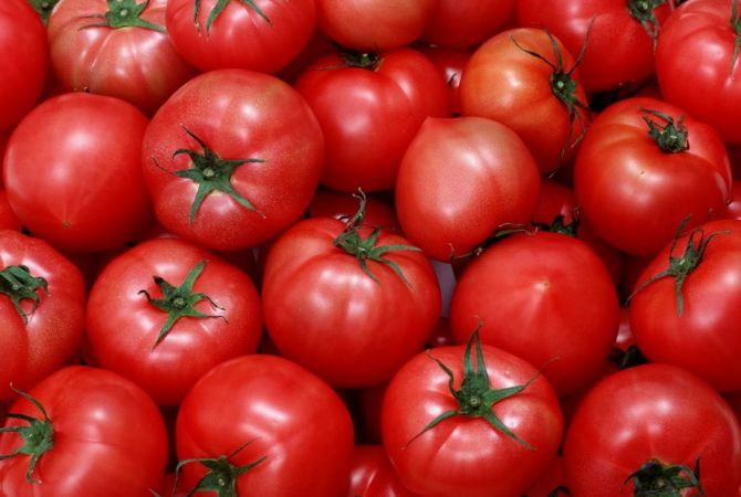 State Revenue Committee finds 1.5 tones of Turkish and Georgian tomatoes at Bagratashen 
checkpoint
