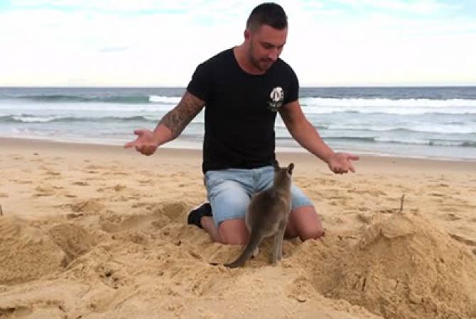  Австралиец подружился с детенышем кенгуру 