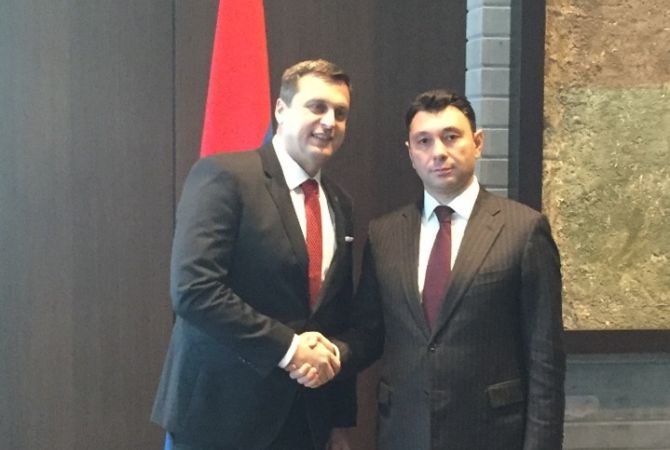 We are obliged to struggle against Turkish denialism- Senior Armenian lawmaker
