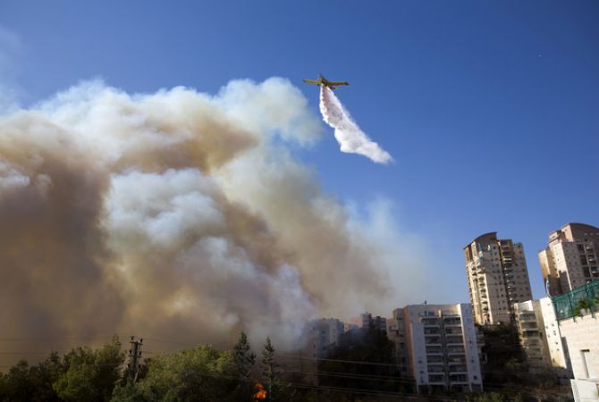  Власти Израиля из-за пожара эвакуируют 11 районов северного города Хайфы 