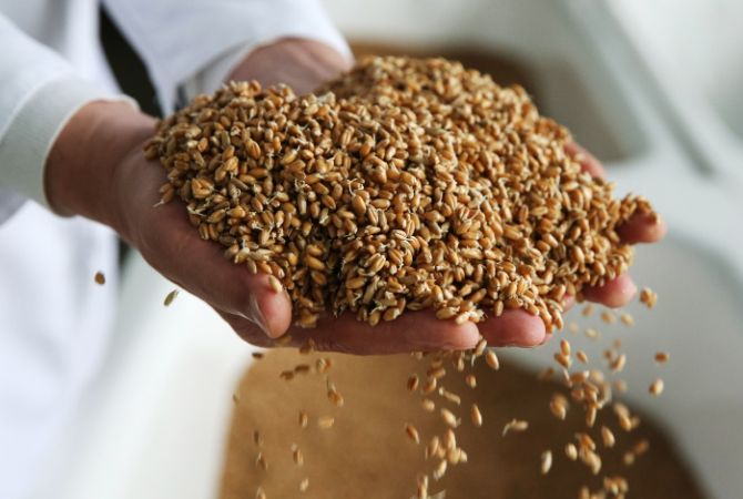 Турция ограничила импорт пшеницы из России
