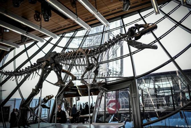 Reuters: во Франции скелет хищного динозавра неизвестного вида продали более чем за 
$2 млн