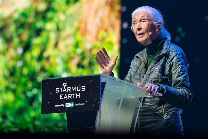 From despair to hope: Jane Goodall's message for saving our planet