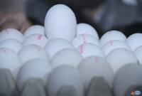В первом полугодии из Армении было экспортировано яиц на сумму 84,5 млн долларов

