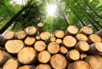 В результате незаконной вырубки леса государству нанесен ущерб в размере 15 
миллионов 172 тысяч 500 драмов