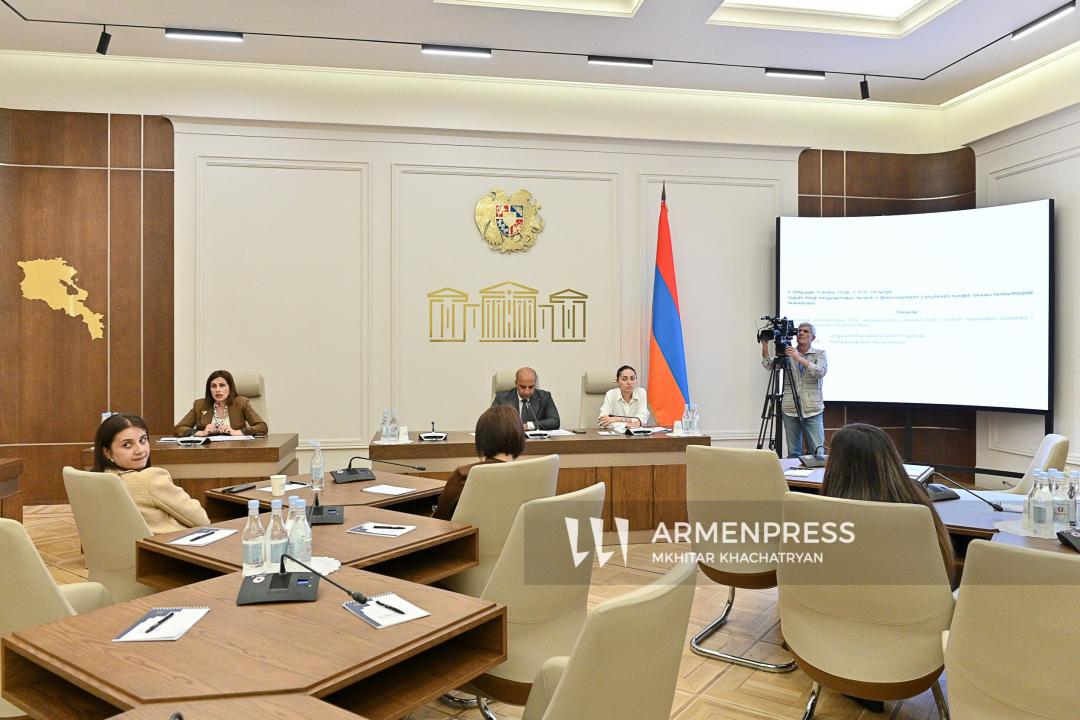 Совместное заседание постоянных комиссий Национального Собрания Республики Армения