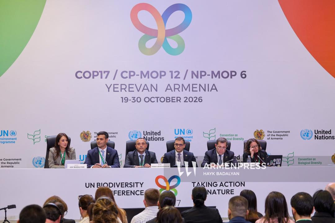 COP17-ին ընդառաջ մամուլի համար ճեպազրույց