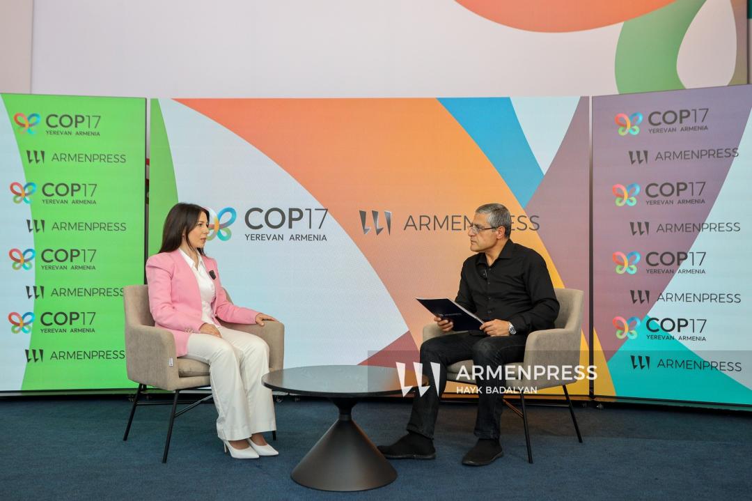 Կանաչ օրակարգը հարկային, մաքսային վարչարարությունում. ի՞նչ նշաձող է սահմանված