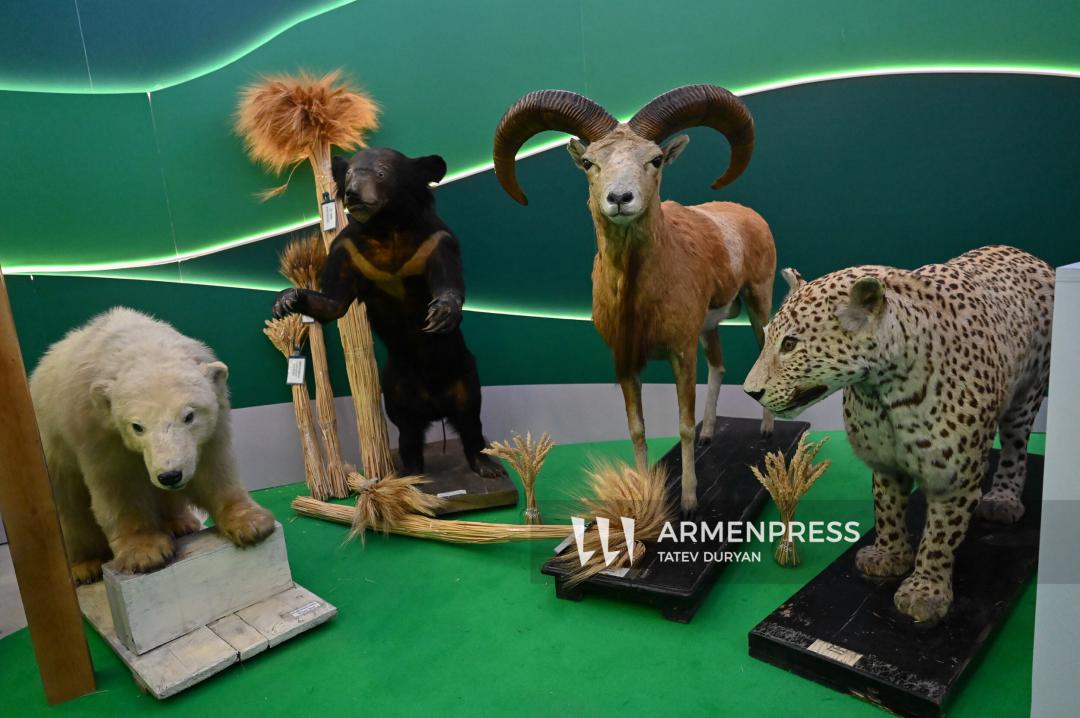 COP17. ձայնամեկուսիչ հագուստից ջրի որակի ստուգում․ Կանաչ գոտու կրթական ծրագրերը