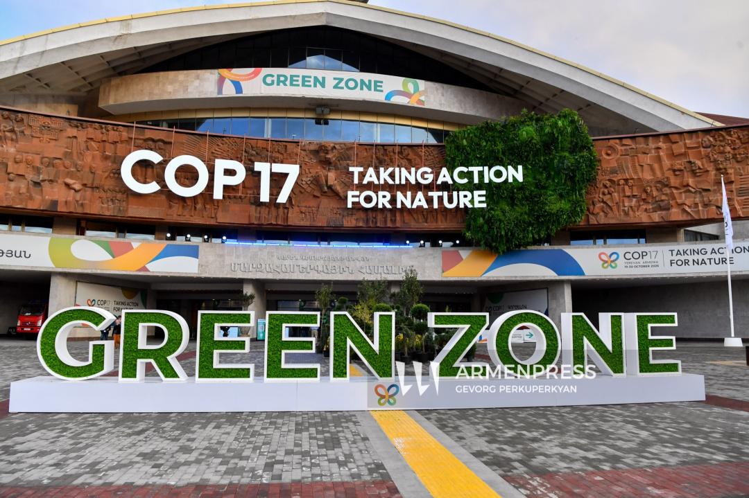 Solutions for biodiversity conservation: Recommendations from COP17 delegates