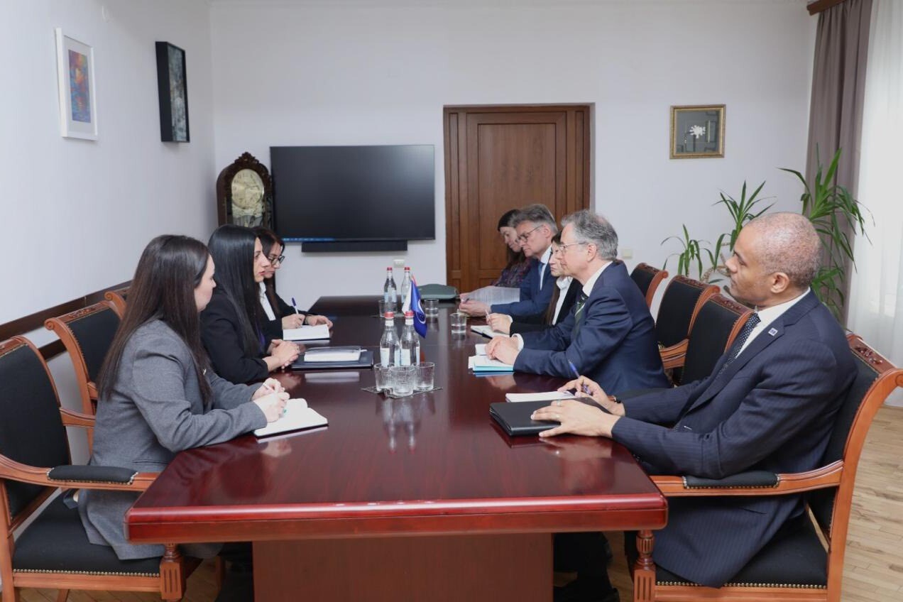 ՀՀ ՄԻՊ-ն ընդունել է Եվրոպայի խորհրդի պատվիրակությանը