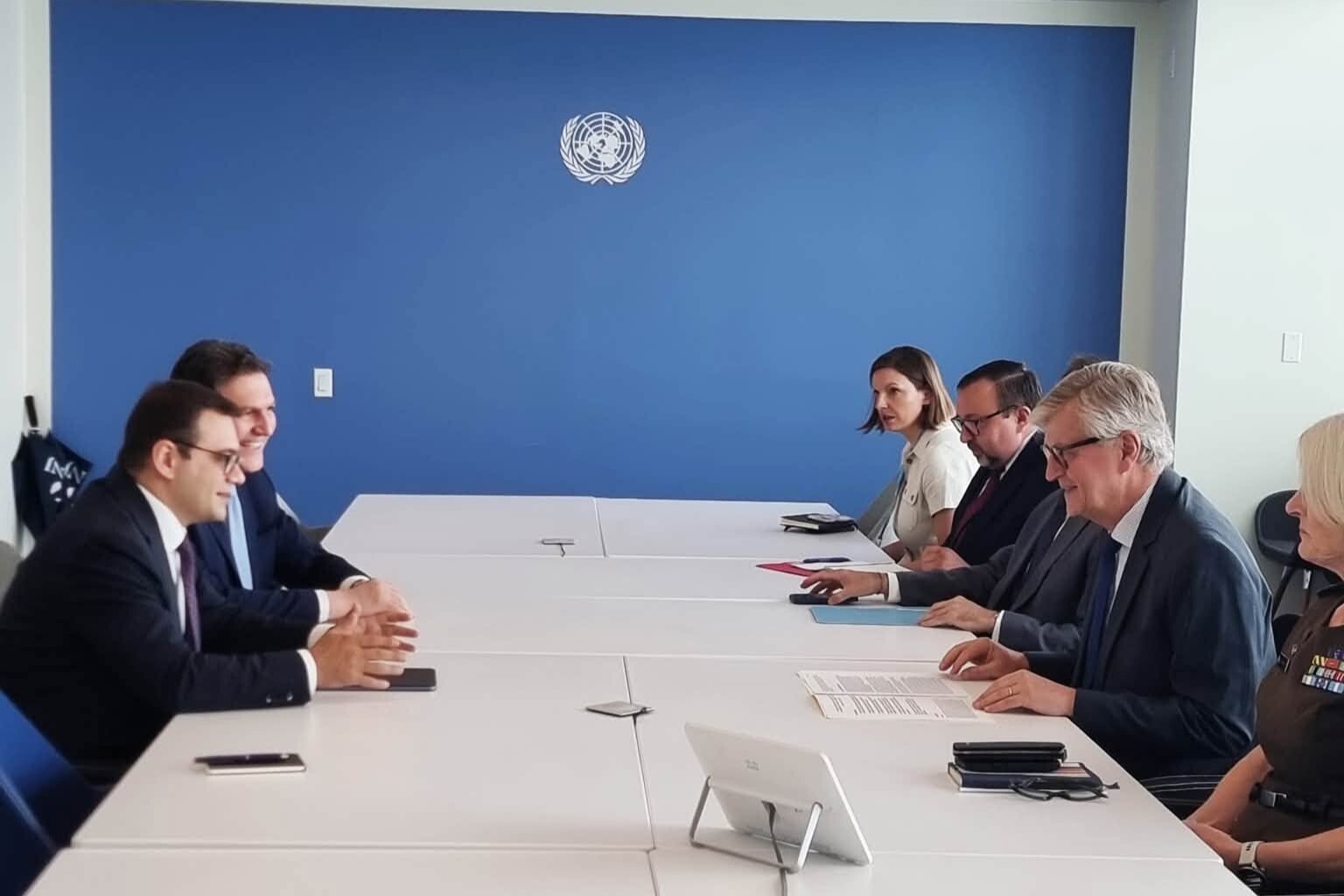 ՀՀ ԱԳ փոխնախարարը հանդիպել է ՄԱԿ գլխավոր քարտուղարի՝ խաղաղությանն ուղղված գործողությունների գծով տեղակալի հետ
