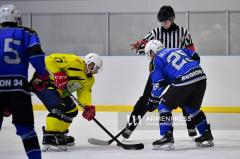 Pan Armenian Winter Games: Hockey tournament kicks off in Yerevan