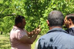 Նախարարն ու Արարատի մարզի պաշտոնյաները կհանդիպեն անձրևի և կարկուտի հետևանքով տուժած բնակիչների հետ