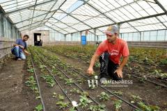 Ջերմոցների և ջրավազանների համար տուրքը էապես կնվազեցվի. ԱԺ-ում քննարկվեց նախագիծը