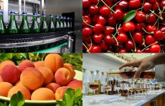 Կառավարությունը հաստատել է արտահանողներին աջակցության երկրորդ ծրագիրը՝ ՌԴ-ից հայկական ապրանքների ներմուծման սահմանափակումների ֆոնին