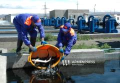 Կառավարությունը սահմանեց ԵՄ երկրներ ձուկ և ձկնամթերք արտահանող տնտեսավարողներին ներկայացվող պահանջները