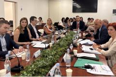 ՀԾԿՀ-ում ԵՄ փորձագետների մասնակցությամբ քննարկվում են էլեկտրաէներգիայի շուկայի բարեփոխումները