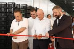 Արագածոտնի մարզում  լոլիկի գերժամանակակից ջերմոցային համալիր է բացվել