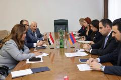 Armenian, Egyptian ministers discuss cooperation in waste management, renewable energy