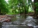 Shikahogh has favorable conditions for development of ecotourism