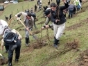 10 thousand trees planted in Armenia within “Towards the 100th anniversary of the genocide” program