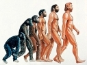 Մարդիկ Homo sapiens-ի այն ոչ մեծ խմբի սերունդներն են, որը ողջ Է մնացել Է Աֆրիկայի հարավում
