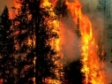 Syunik fights against fires