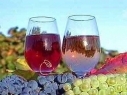 World’s Oldest Winery Discovered in Armenia
