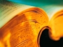 Book exhibitions in provinces