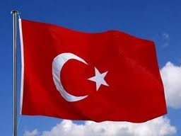 Группа сирийских военных сбежала в Турцию