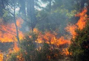 Ongoing wildfires  in Spain and Portugal